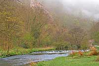 in Dovedale