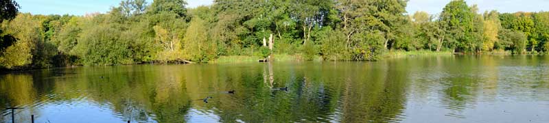 Photographs from  Allestree  Park in Derby