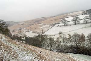Photograph from upper Derwent Valley