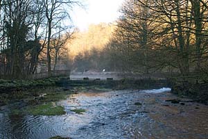 Photograph from  Lathkill Dale