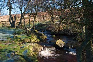 Photograph from  Grindleford and Padley Gorge