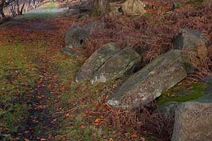 Photograph from  Grindleford and Padley Gorge