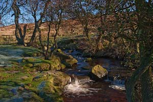 Photograph from padley gorge  in Derbyshire