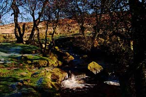 Photograph   from  the Upper Derwent Valley , Derbyshire - from padley gorge