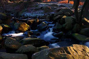 Photograph   from  the Upper Derwent Valley , Derbyshire - from padley gorge