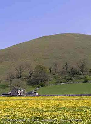 Photograph from  around Earl Sterndale and Hollinsclough in the dove valley